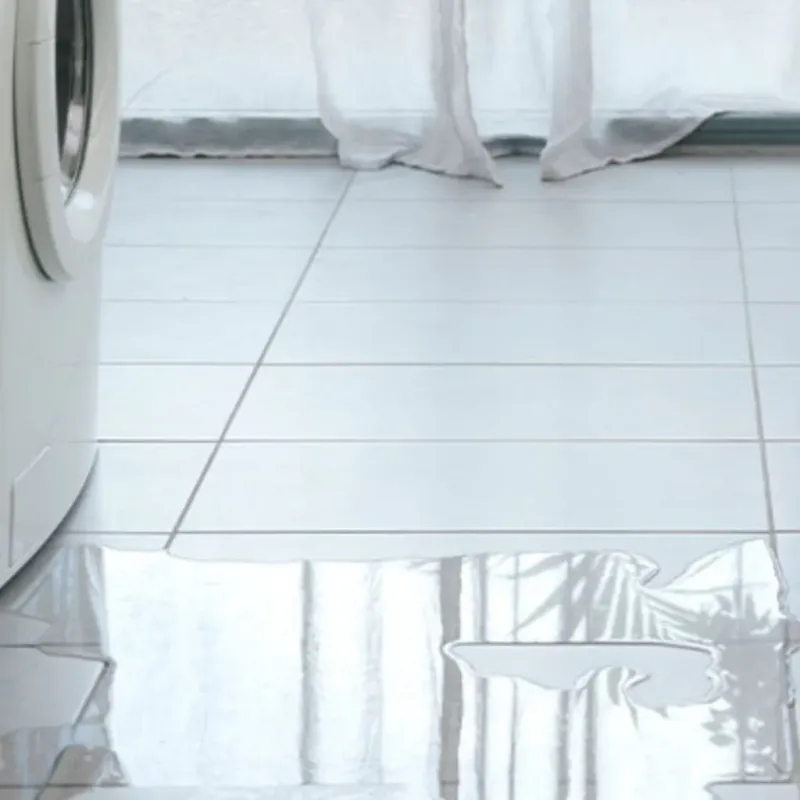 Appliance Leak Cleanup in Dana Point, CA